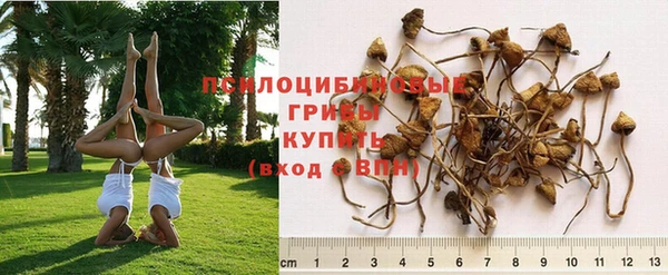 марки nbome Тобольск