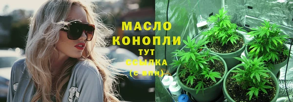 дживик Балахна