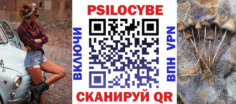 Галлюциногенные грибы Psilocybe blacksprut ТОР Волоколамск купить наркотики сайты